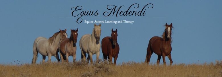 Equus Medendi