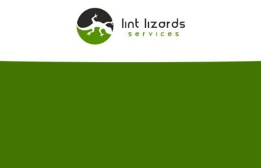 Lint Lizards Services LLC